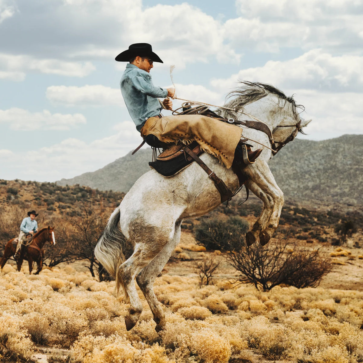 Stetson Skyline Black 6x