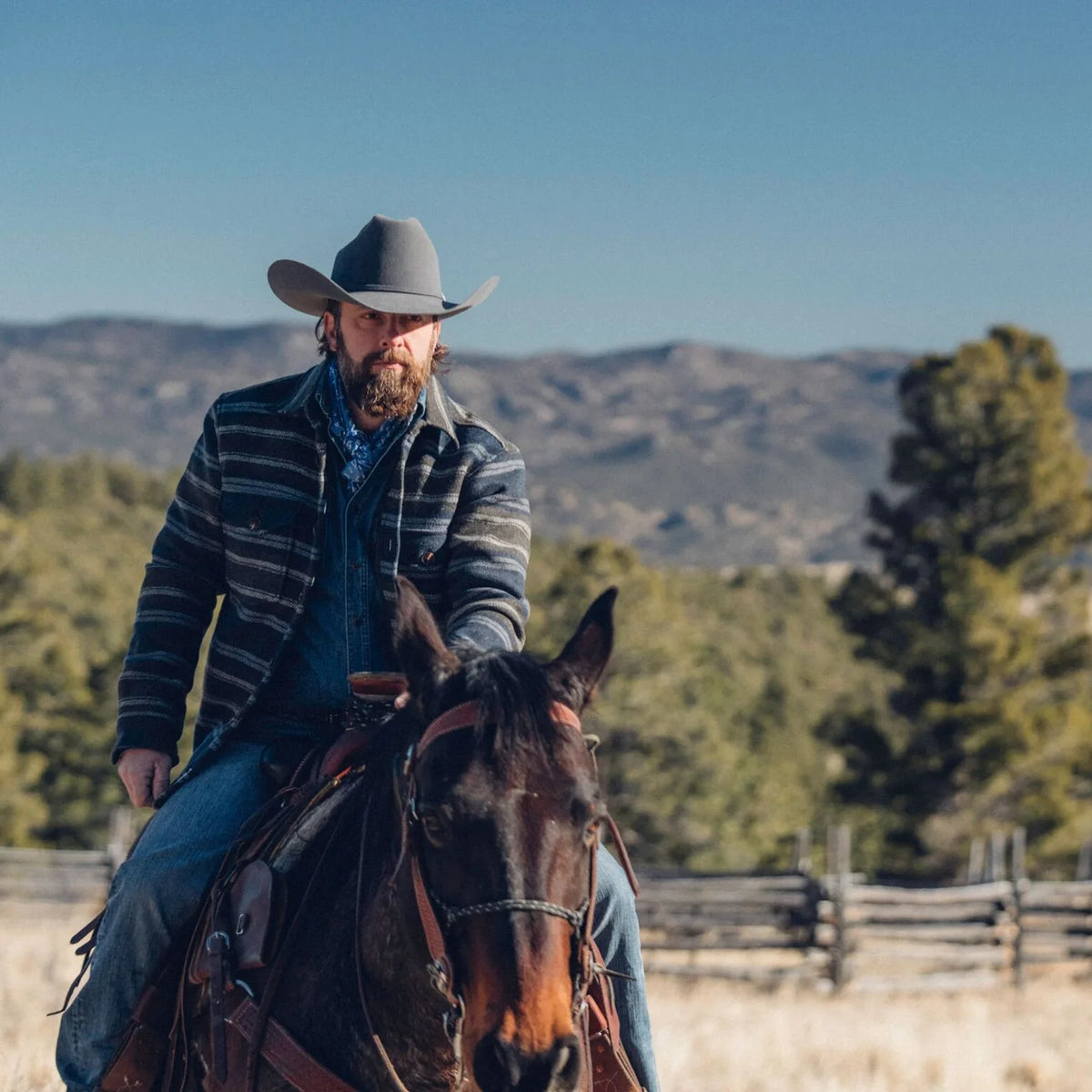 Stetson Skyline Granite Grey 6x