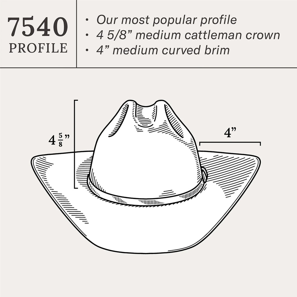 Stetson Skyline Silver Grey 6x