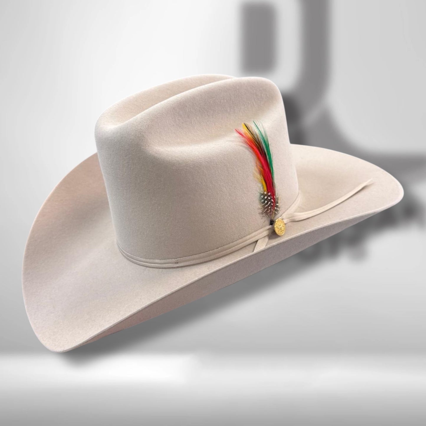 Sfr160-014061 | Rancher Silverb 160th Edition