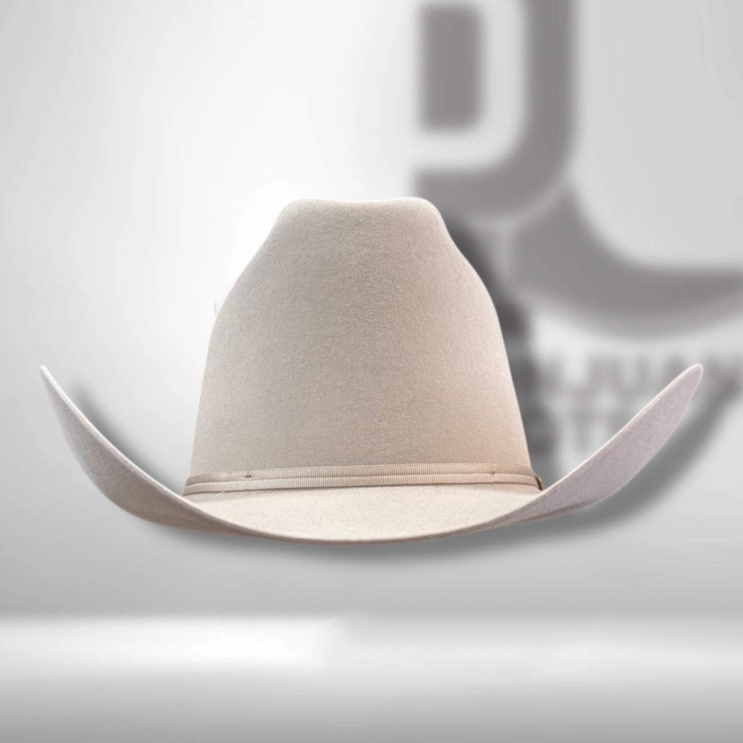 Sfr160-014061 | Rancher Silverb 160th Edition