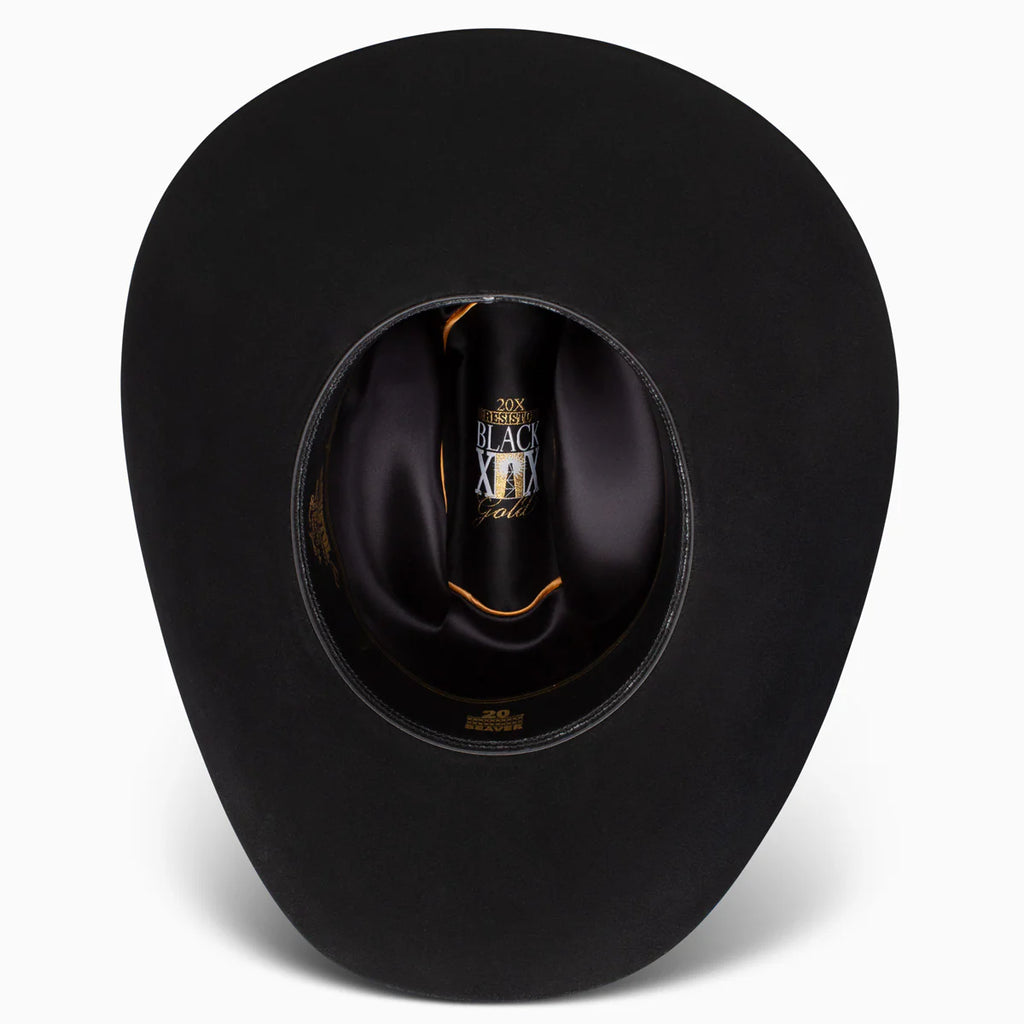 Rfbkgd-094277 | Black Gold 20x Hat