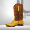 DJ2038 | Don Juan Boots Men's Caiman Back Buttercup H Toe P