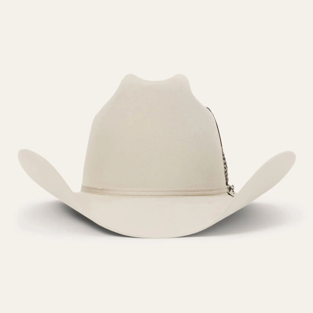 Stetson Rancher Silverbelly 6x